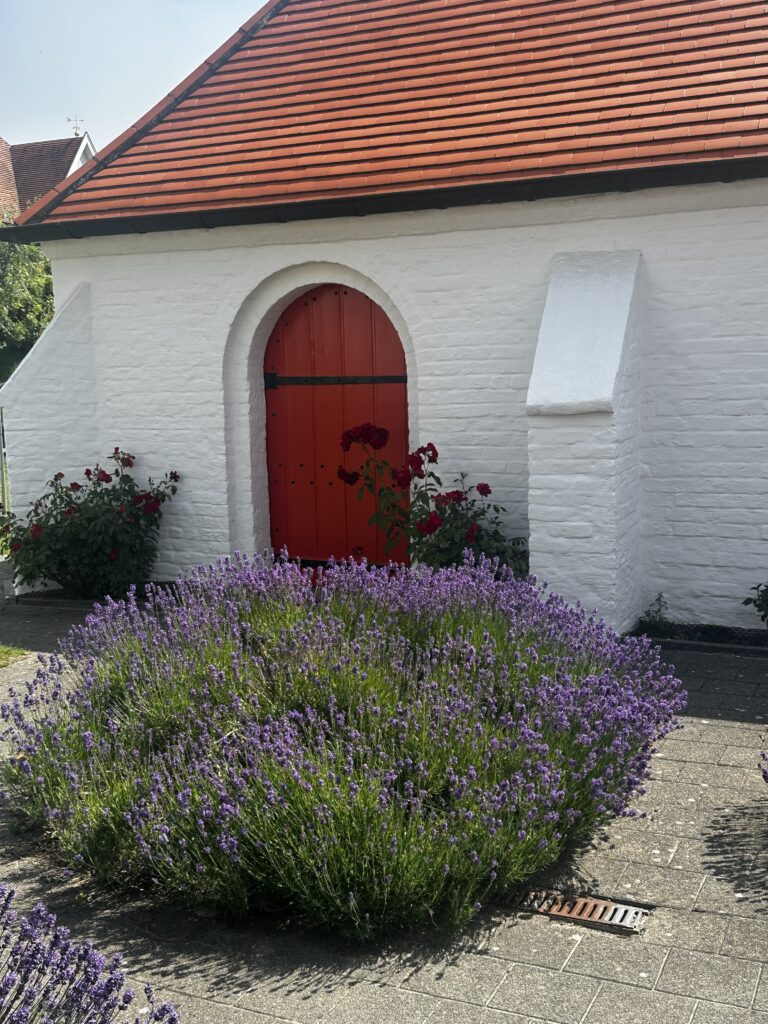 Whitewashed chapel with a red arched door and lavender in Knokke-Heist